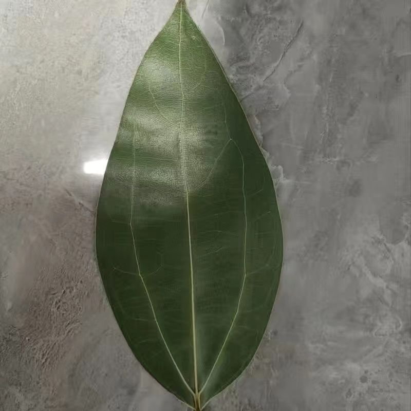 Peace leaf carving customized creative photo frame photo - Image 16